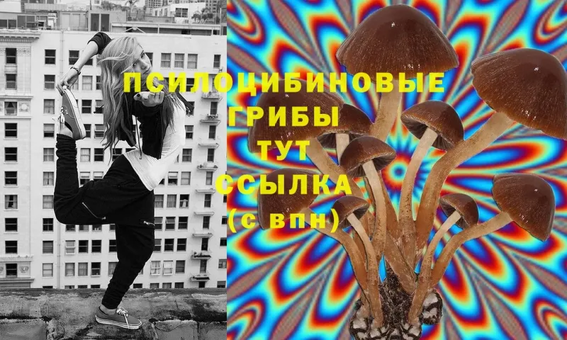 Псилоцибиновые грибы Magic Shrooms  Татарск 